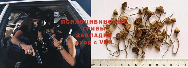 метадон Алзамай